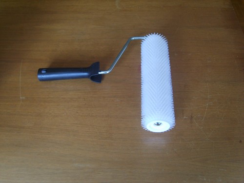 Stachelwalze